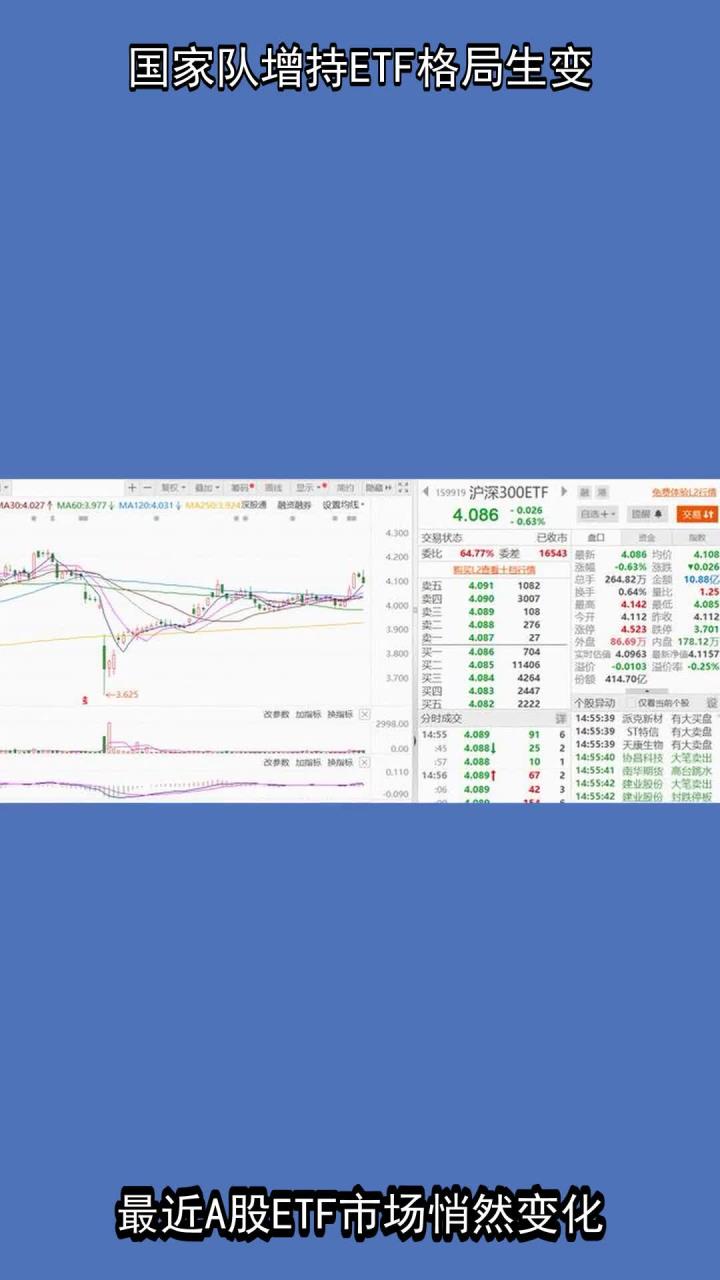 全球股市巨震 “国家队”出手增持中国股票资产 情绪释放后行情怎么走？