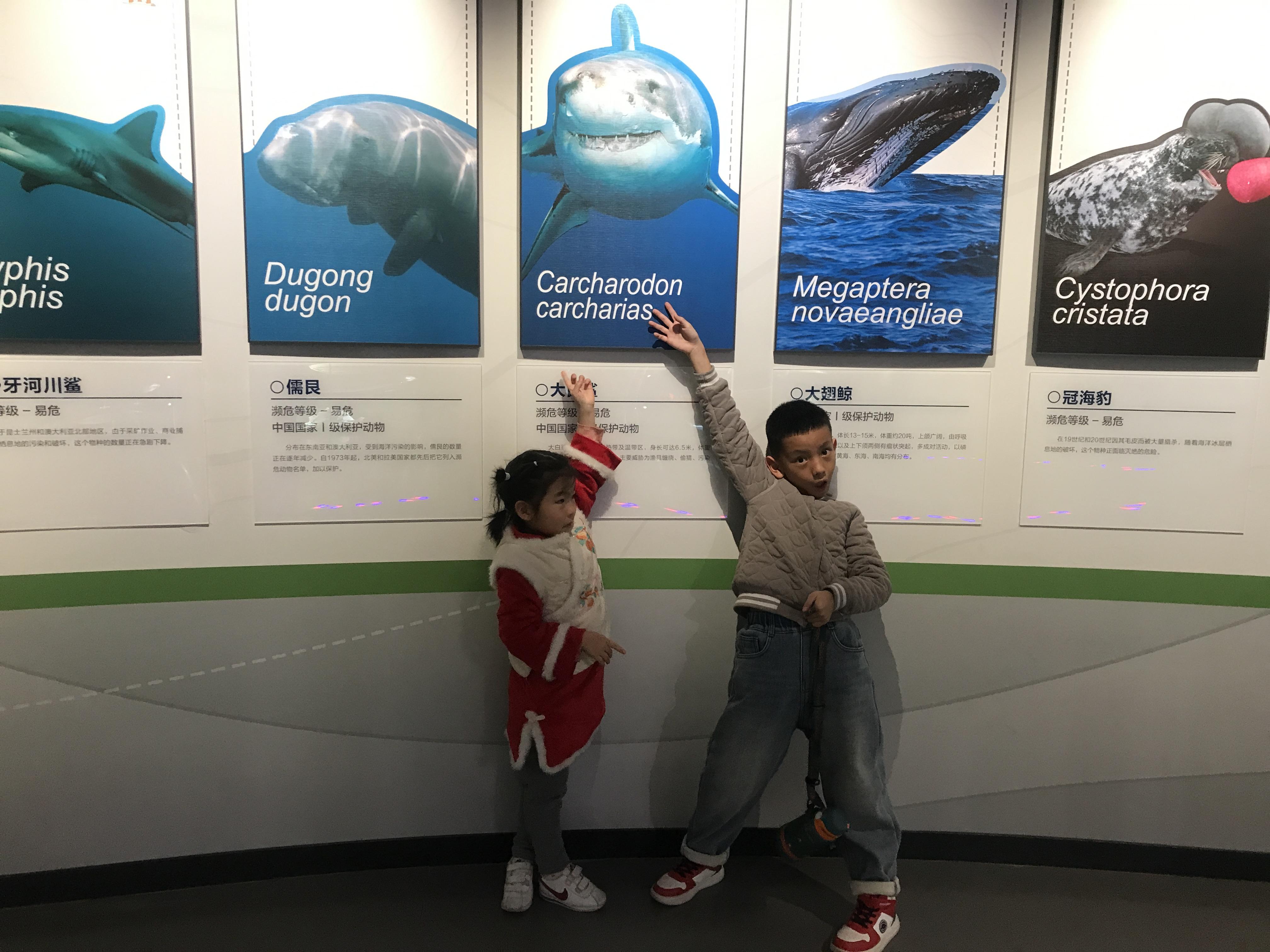 “海洋馆第一股”控制权易主