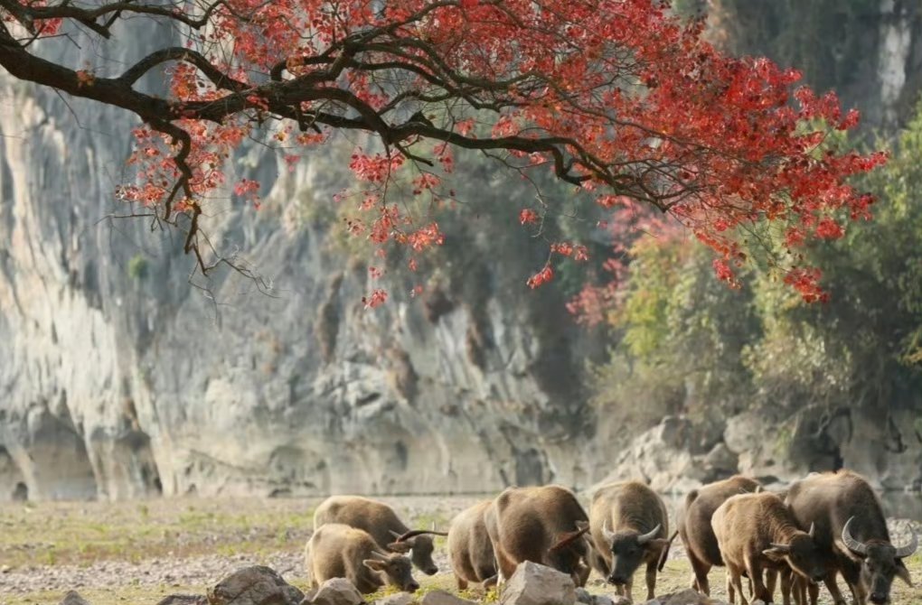 7月份证券交易印花税同比增长125%