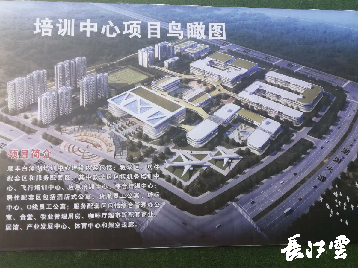 专访中国城市临空经济研究中心秘书长马剑：航空业要抱团出海，建设“空中丝绸之路”加快提升国际影响力